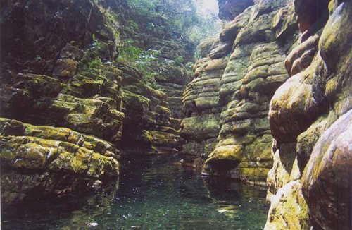 森林旅游大热~盘点广西最受欢迎的自然氧吧!