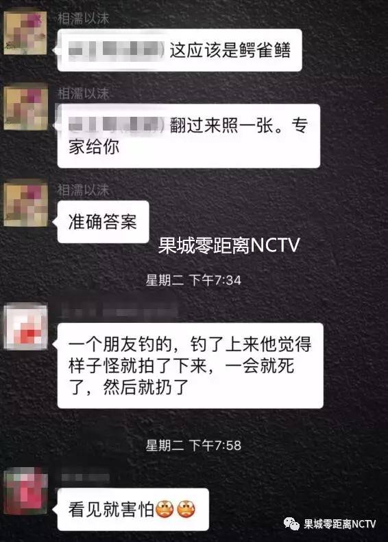 万能的朋友圈请告诉我,网友钓到的这个东西是啥子?