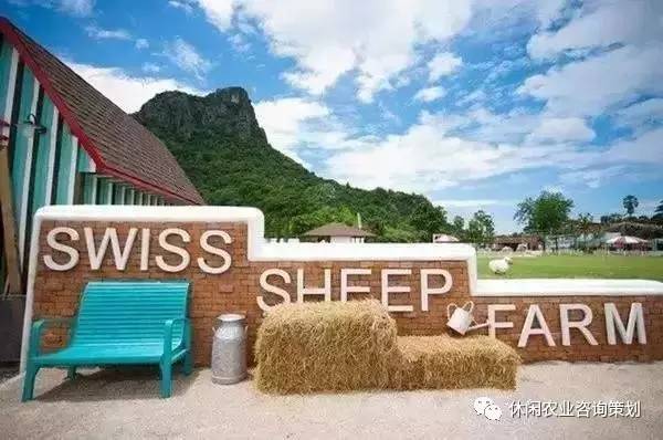 以小瑞士绵羊牧场为例讲述:泰国牧场是如何玩转牧羊场题的