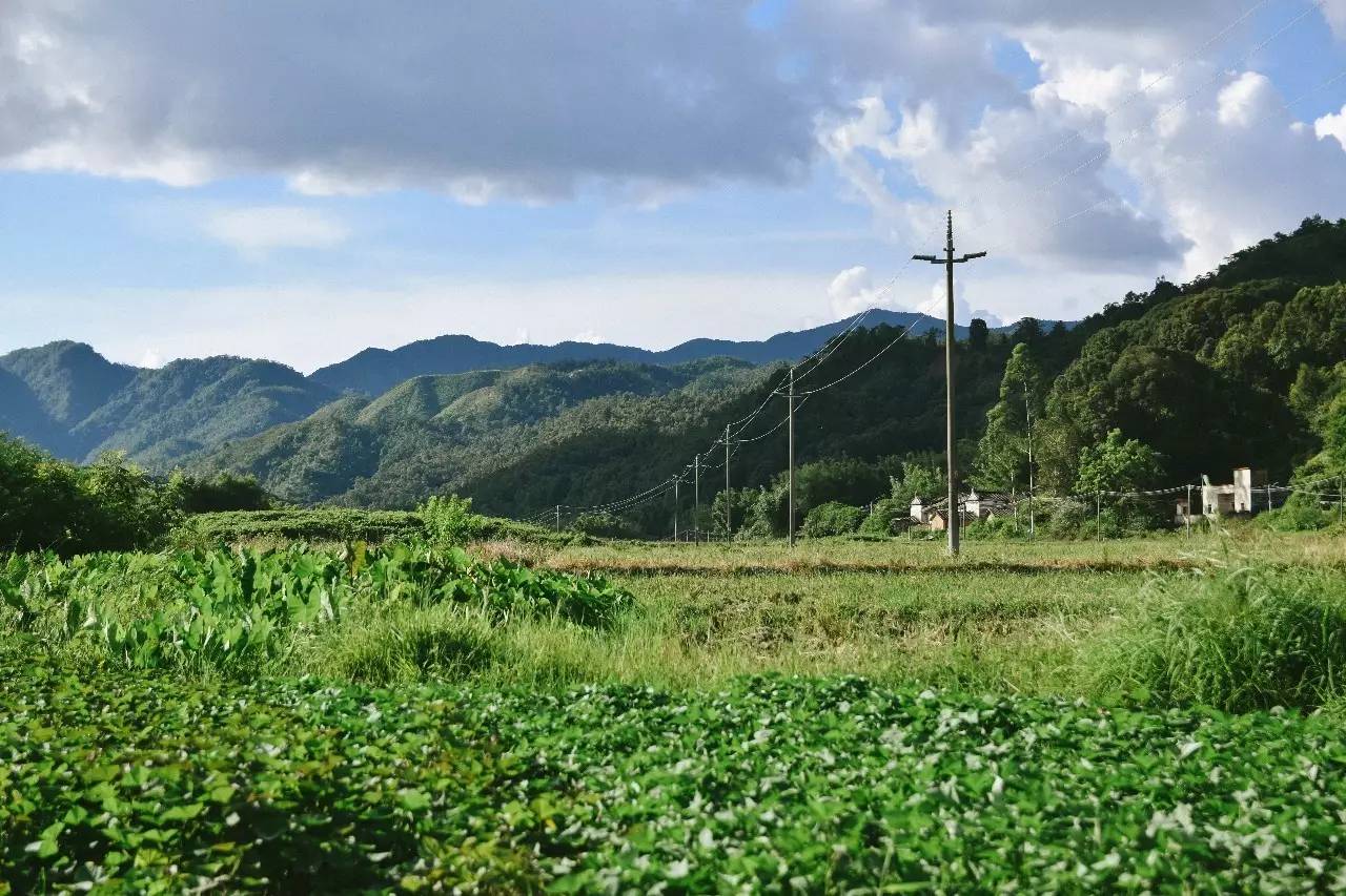 深入惠东最山的山区寻找惠东母亲河西枝江的发源之地