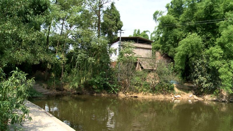 湖塘村人口_陆川清湖塘寨村