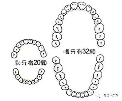 但是,宝宝满嘴都没有一颗好牙,那只能是说明家长对于宝宝的牙齿不够