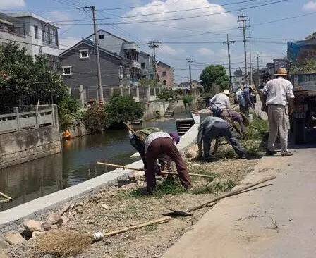 近期,胜山镇胜南村组织人员开展清除垃圾,积水,推进庭院的整洁卫生