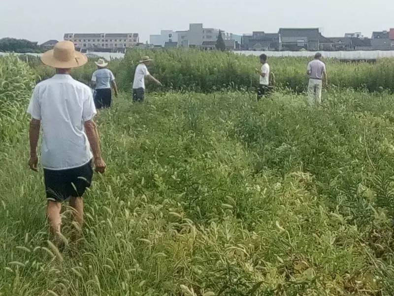 慈溪市胜山镇胜南村人口_慈溪市胜西小学2017