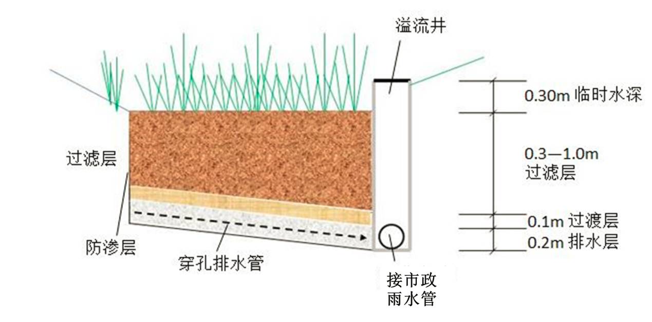 生物滞留池和植草沟设计指南