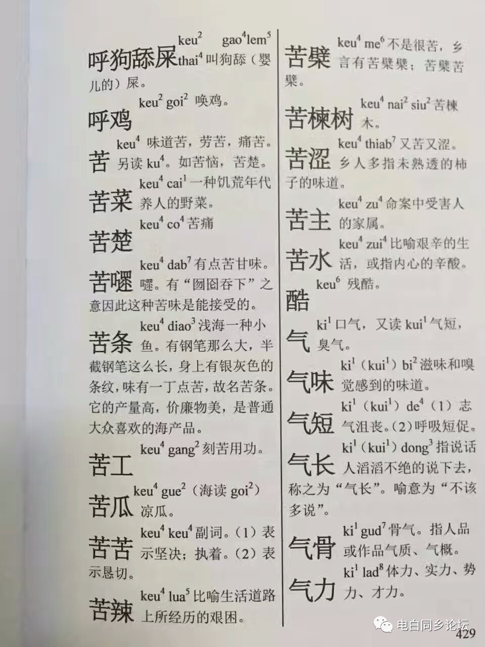 大衙人口_外砂镇大衙村划区图(2)