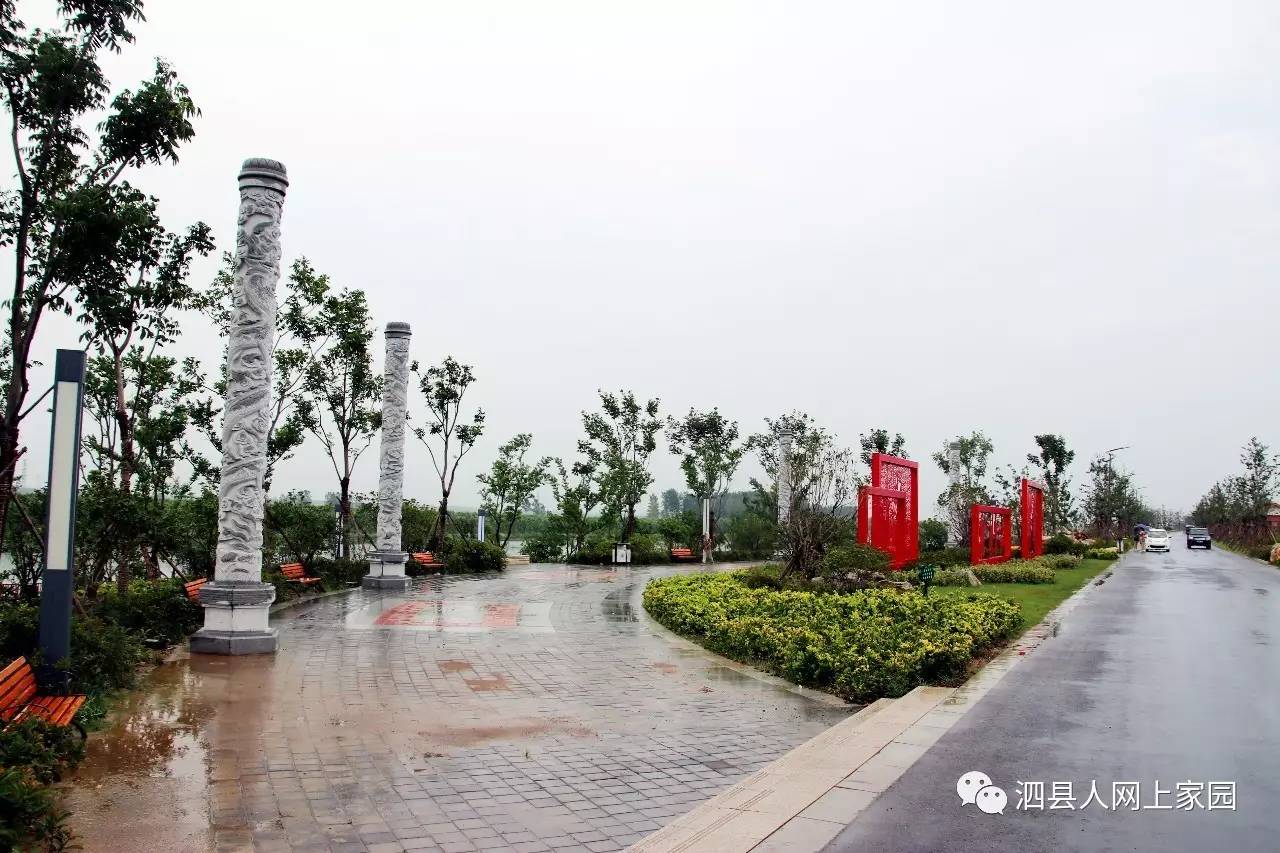 清凉夏日,泗县可看美景太多,滨河公园是避暑好去处!