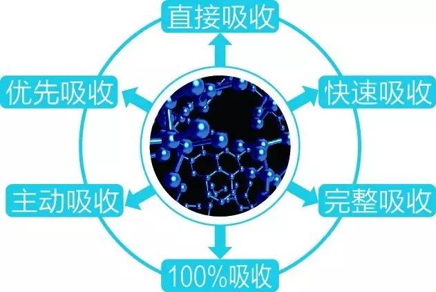 肽的吸收机制及原理!