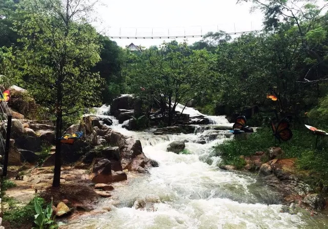 大雨过后的绚丽,清境桃源瀑布流水奇观!