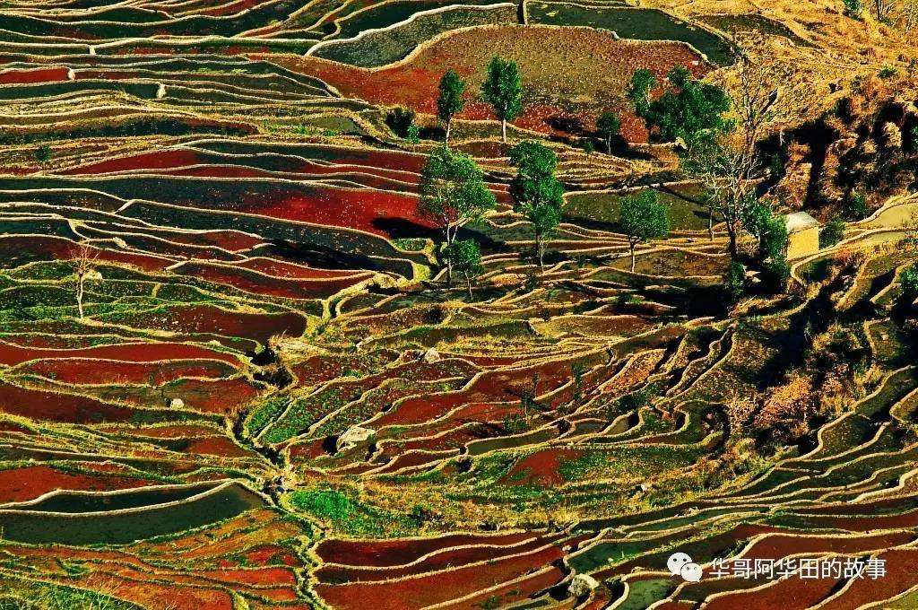 中国梯田胜景红河哈尼梯田