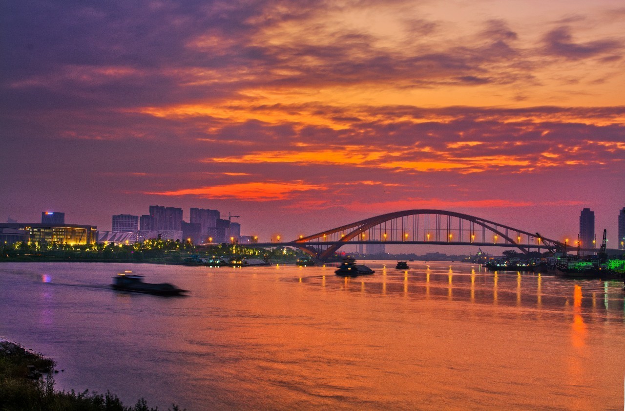 这样的佛山新城景观带你见过吗?原来这里的夜景也可以