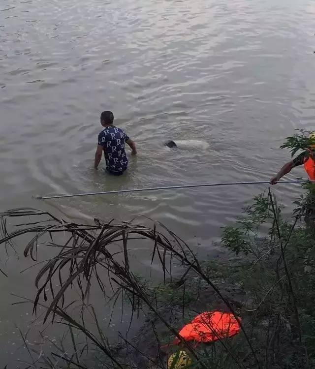 刚刚修水一少年在宁州镇小水溺水死亡