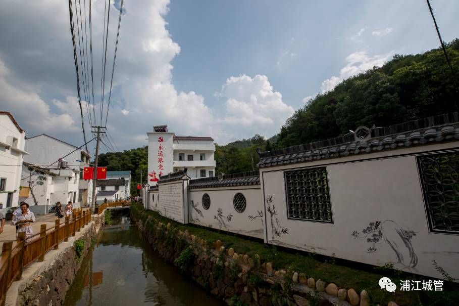 郑宅镇东畈村郑宅镇的东畈村,许你一个乡村梦.