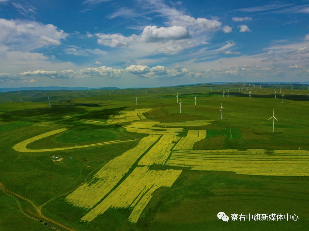 乌兰察布市察右中旗紧紧围绕"鲜花草原"这张名牌,对辉腾锡勒景区进行