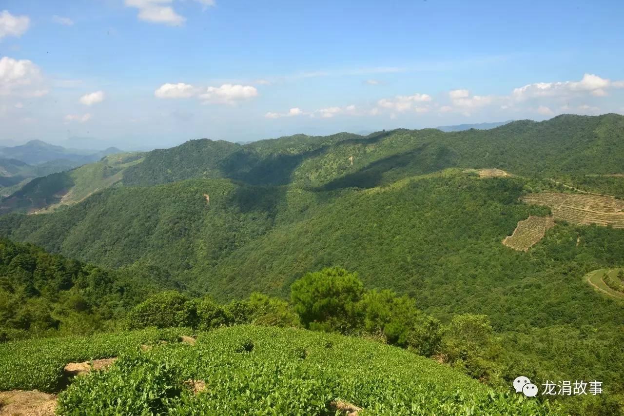 安溪县龙涓乡美岭村多少人口_安溪县龙涓乡地图全图