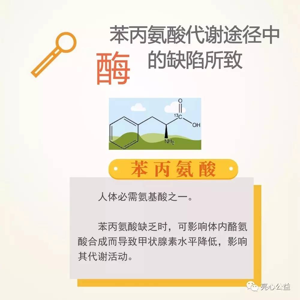 脑瘫 癫痫 自闭症 苯丙酮尿症 即使跌倒一百次,也要一百零一次地站