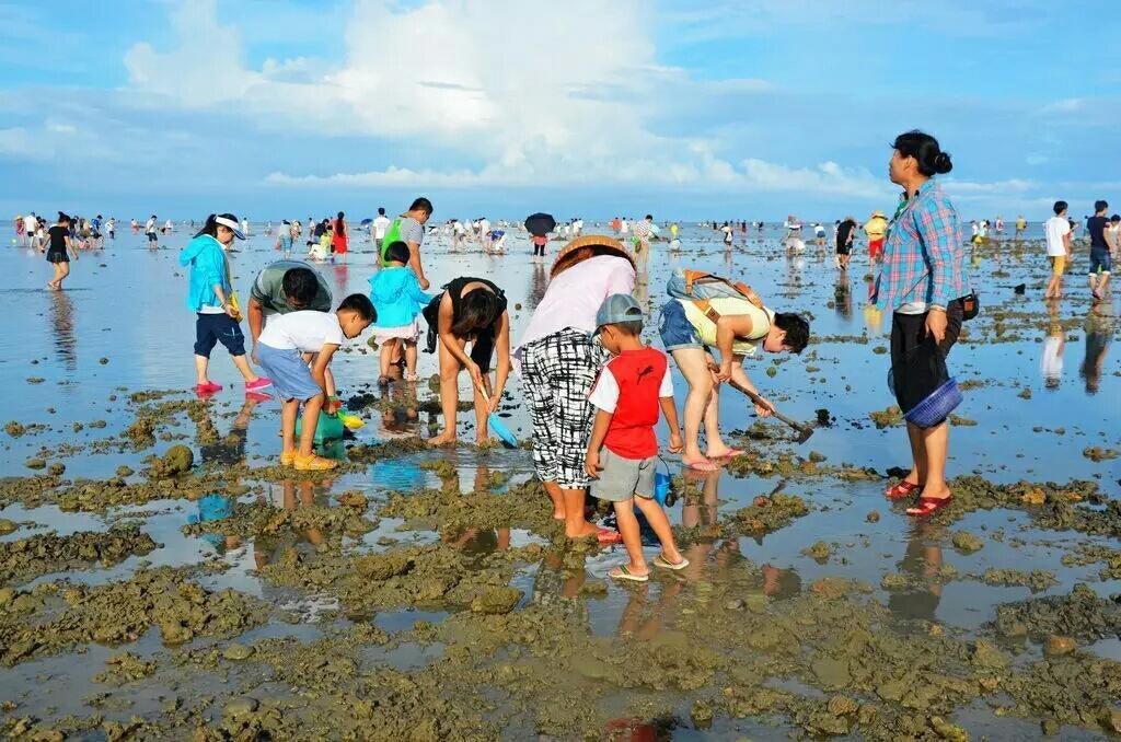 【周末去哪儿】这周末你是去琼海潭门湾赶海节还是去"