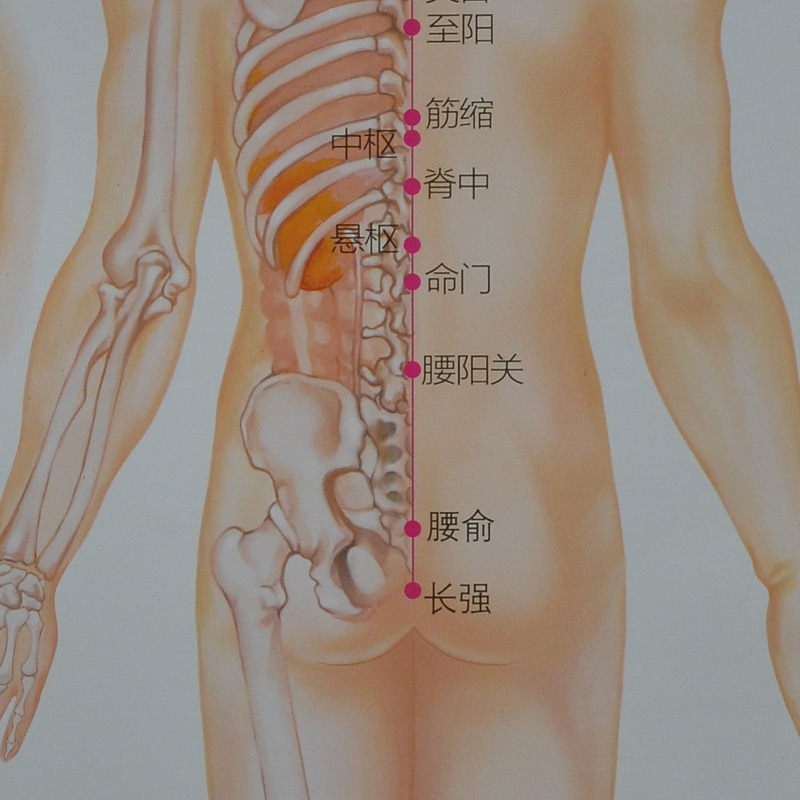 艾灸这几个穴位，轻轻松松减肥，不节食，不反弹 .艾灸养生