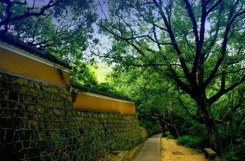 唐诗三百首破山寺后禅院