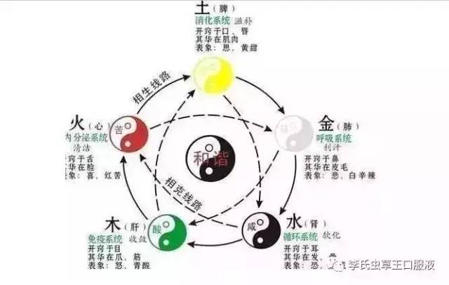 《每天必读一穴》五行、 五脏、五腑、 五官、 五华、 五味、五色、 五情、五液和身体的对应关系及调养大全都在这儿