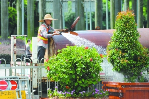 为绿植解渴城市园丁们也是拼了