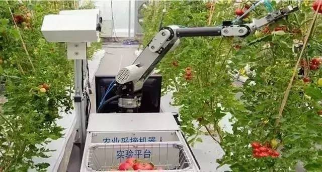 炫酷农机需用"脑" 8月8日新疆智能装备展夏日来袭!