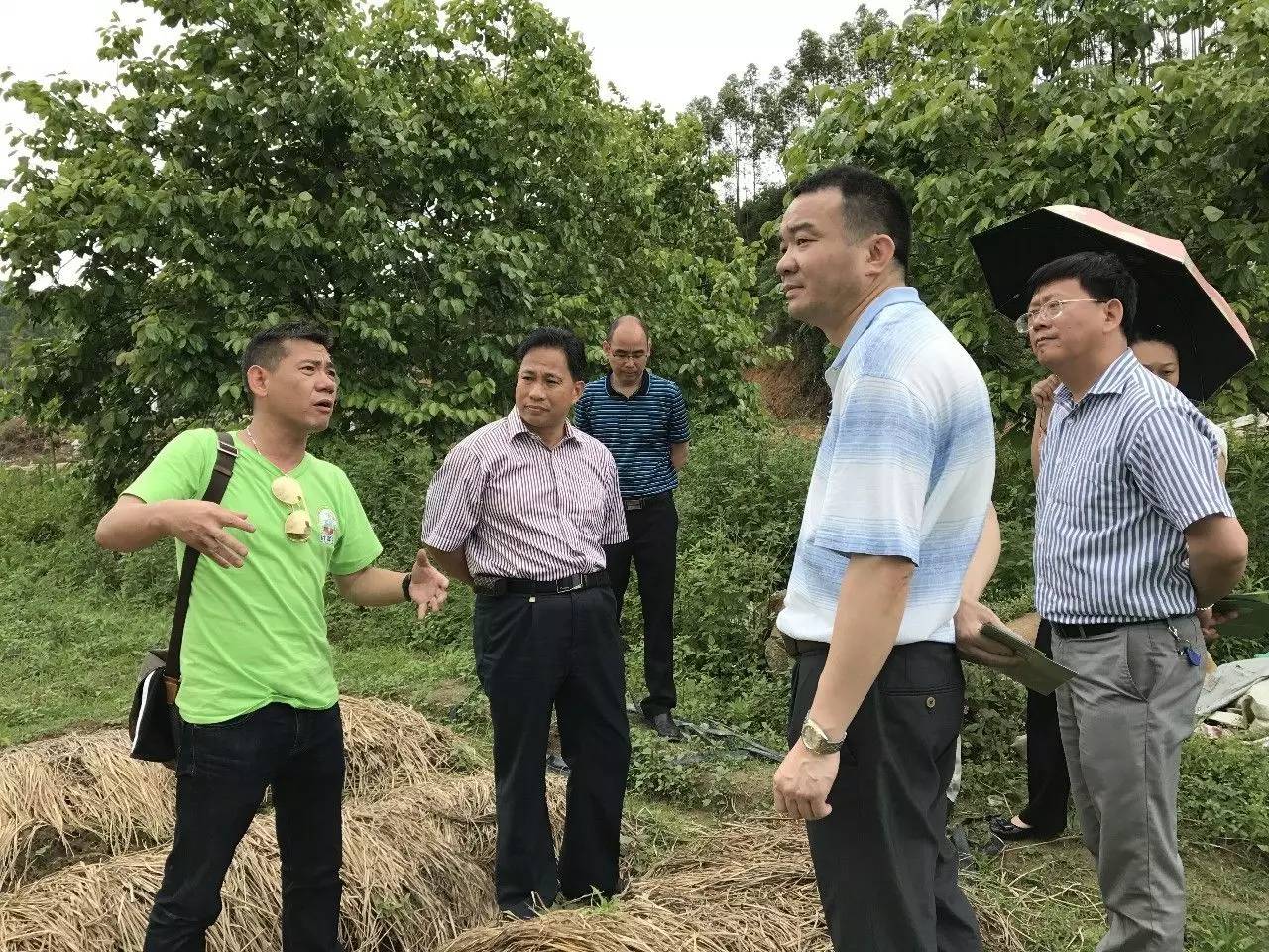 河源"奇葩农场主"叶一鸣:不做老板,爱种田!