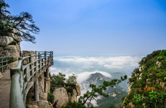 银座天蒙山风景区 |夏天到这里来看"海" 21度的凉爽