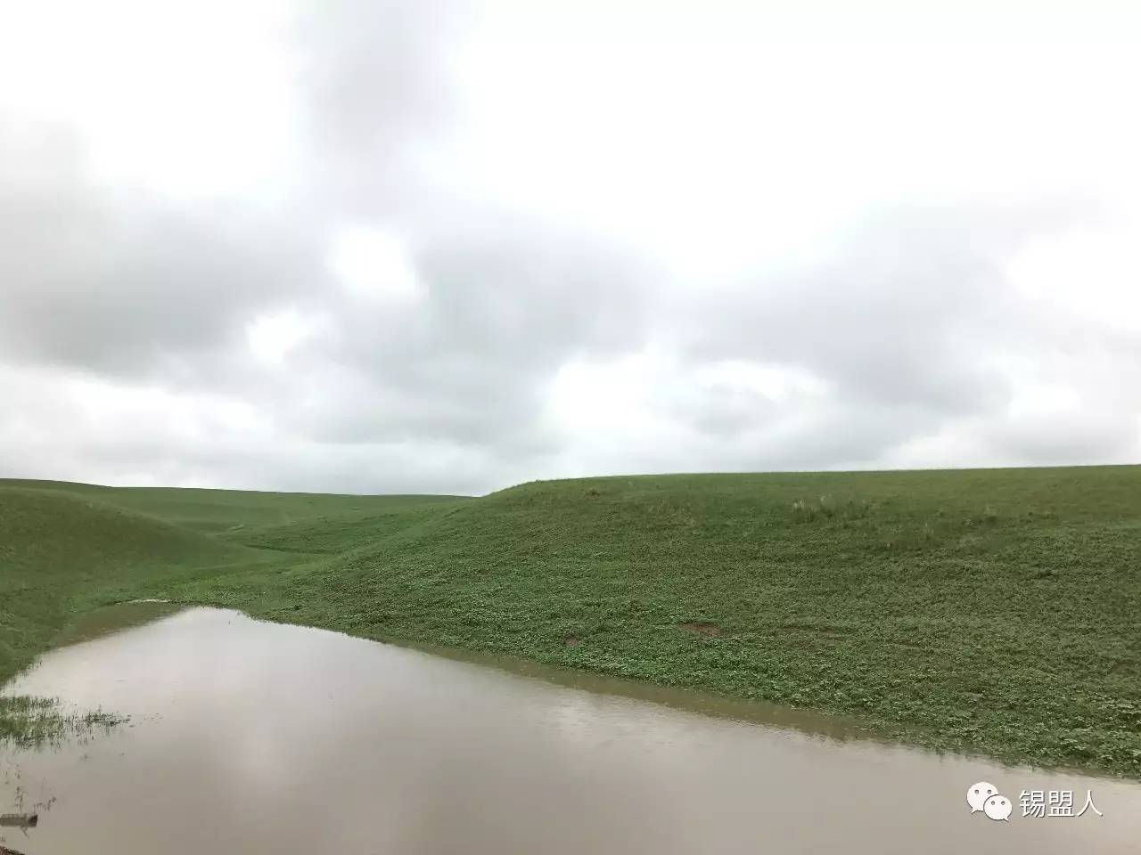 草原上下雨了,终于不旱了!