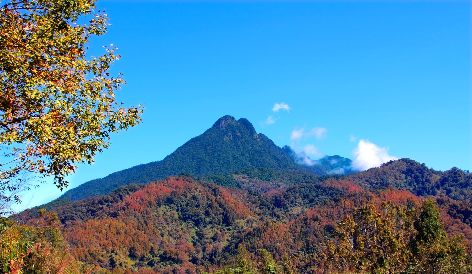 海南五指山市人口_五指山的人口(2)