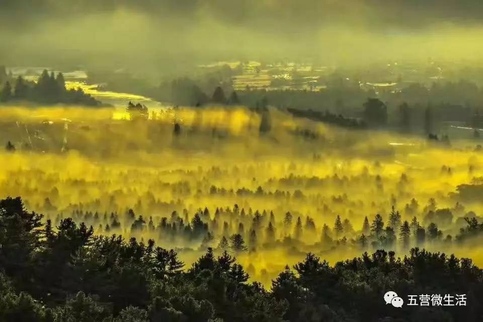 作为世界人与生物圈保护区网络成员,丰林自然保护区