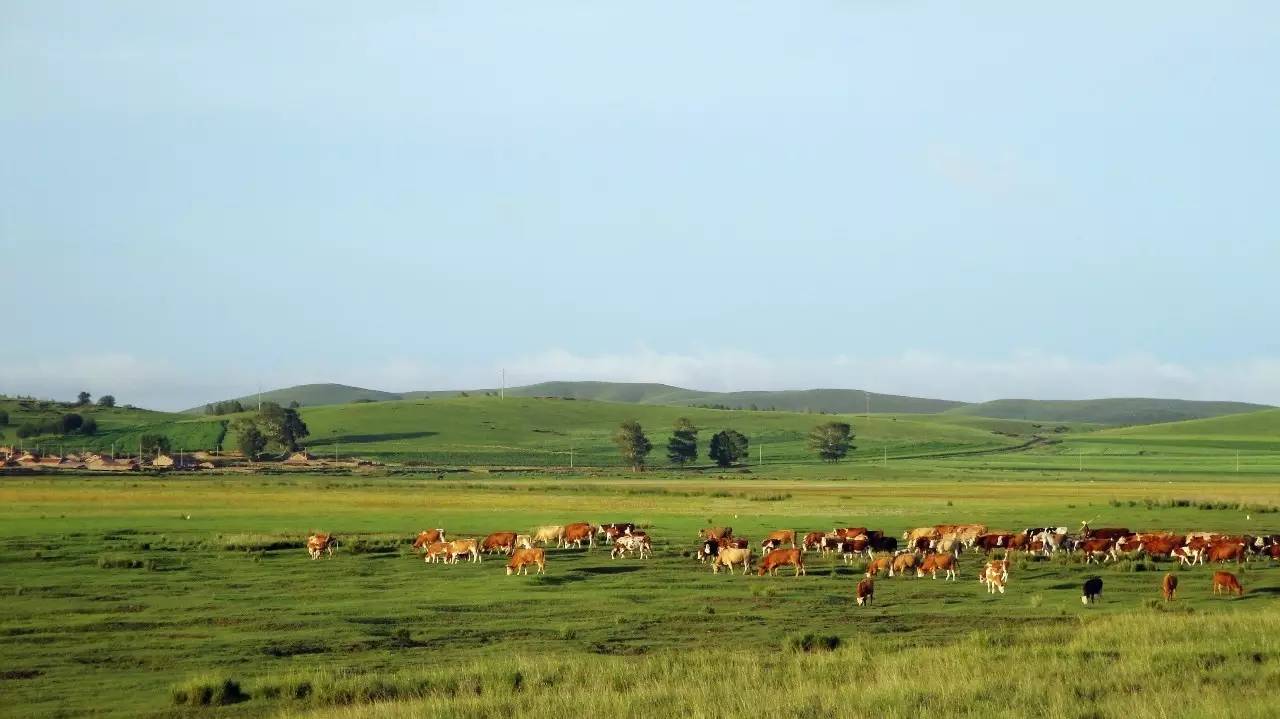 元晟牛羊肉基地