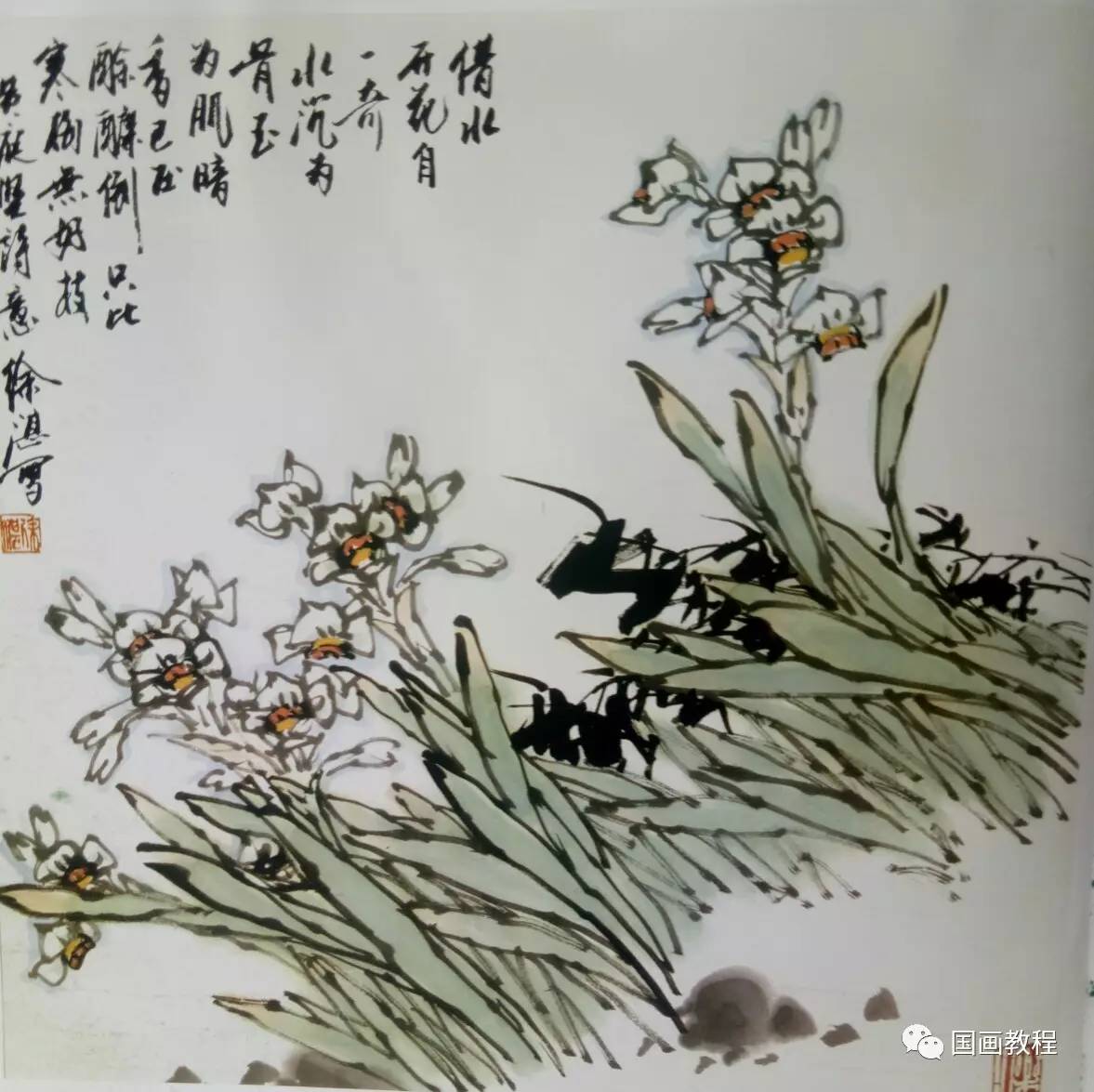 水仙花的画法