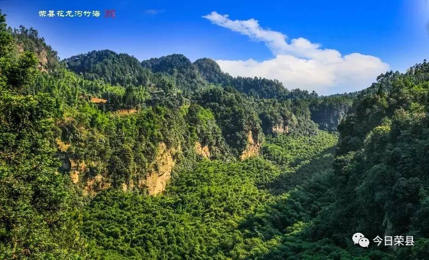 荣县避署胜地——长山花龙沟竹海