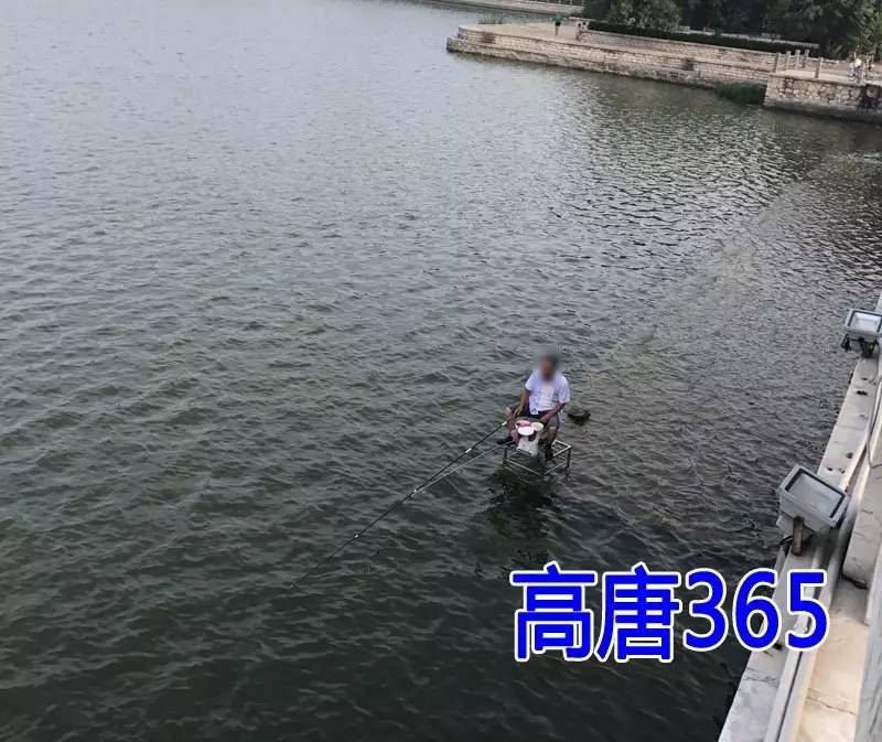 高唐这位大爷真厉害!坐在北湖湖水上钓鱼!