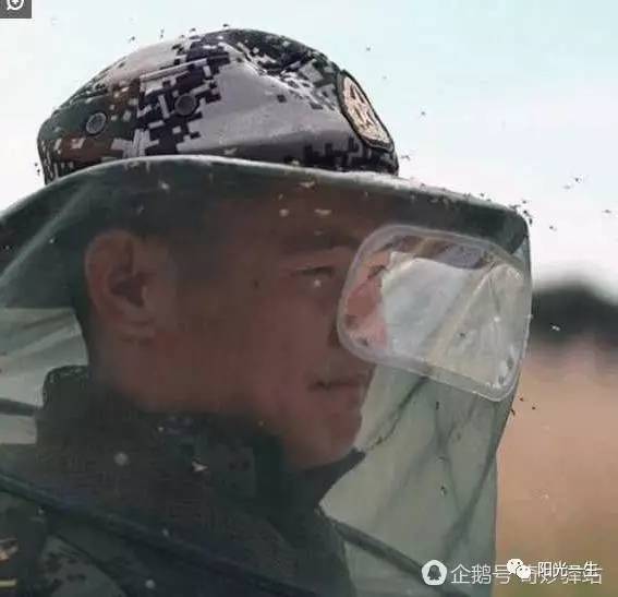 景象中国蚊子之乡盛夏全副武装随手拍死50只被誉世界蚊虫王国