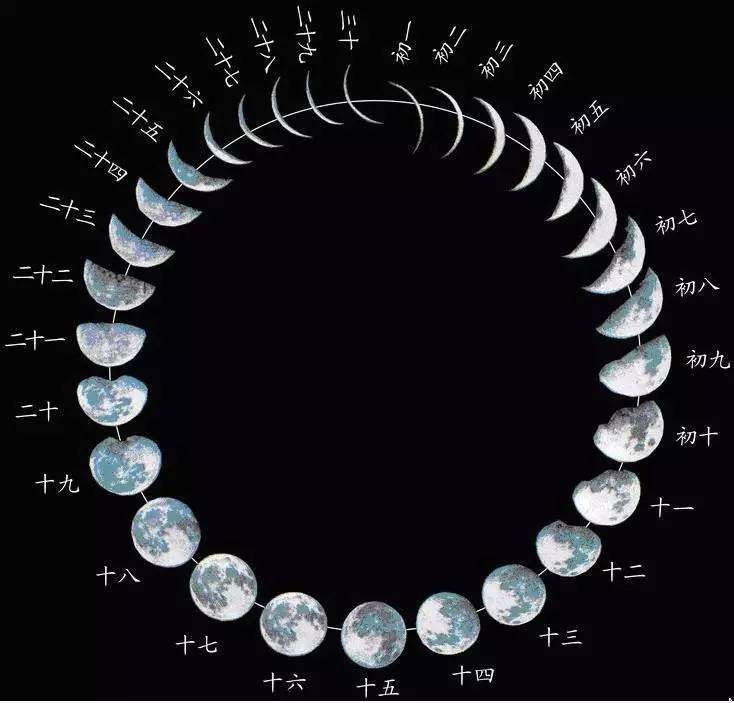 "从现在开始,请你每晚7点至9点之间观察1次月亮,把看到的月亮形状画