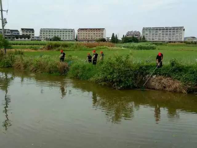 宁远湾井镇东安头村有多少人口_洪渡镇有多少个村(2)