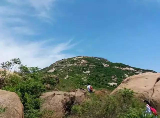 莱芜青人口_莱芜职业技术学院