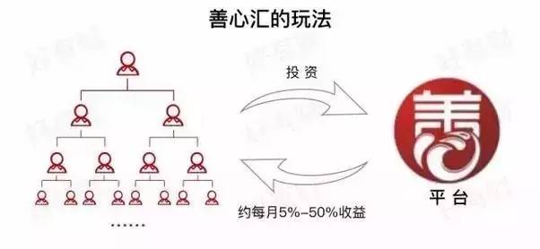 户庞氏人口_人口普查(2)