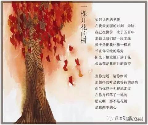 《一棵开花的树》是不是席慕容的诗?