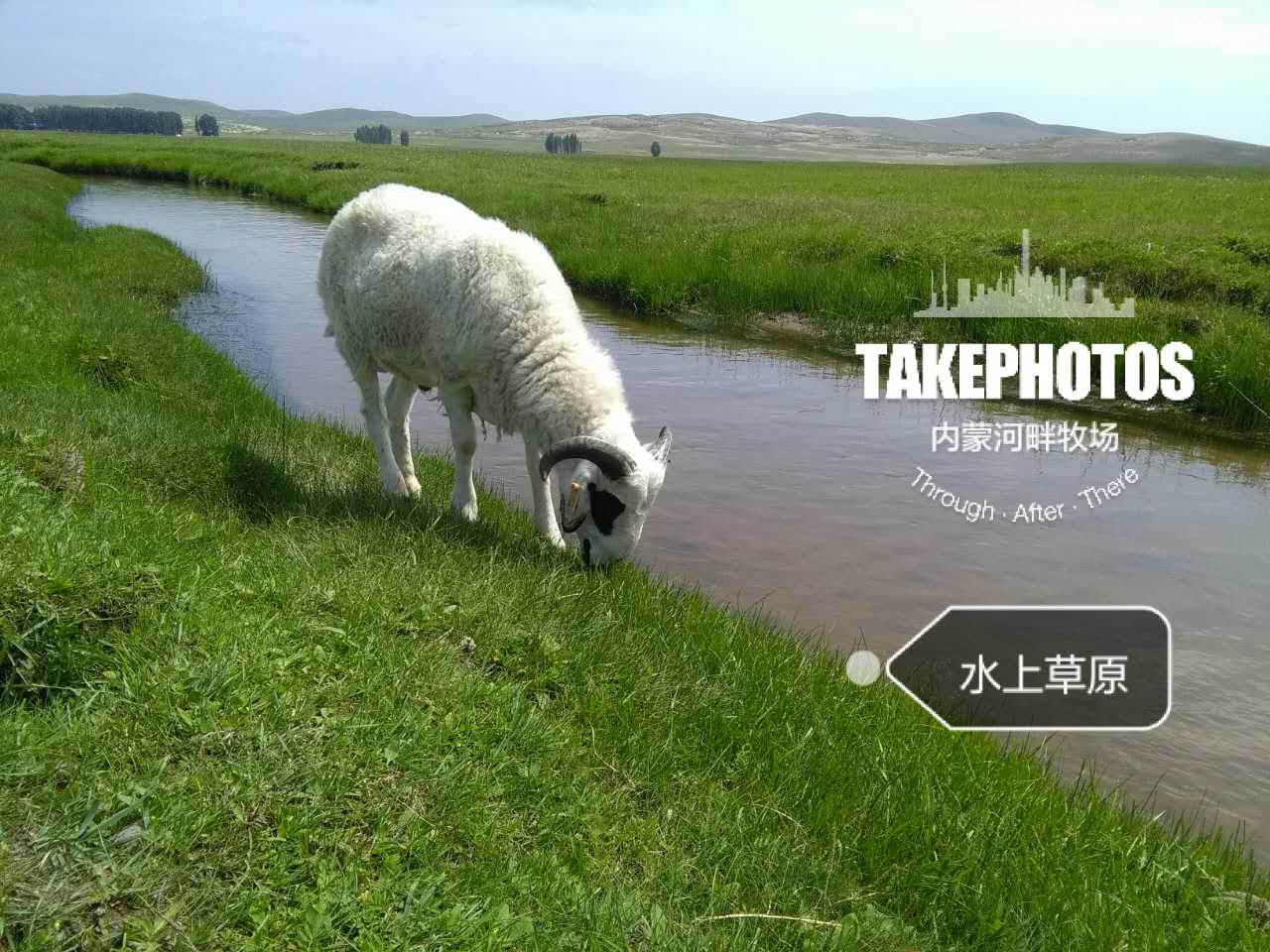 河畔牧场,水上草原