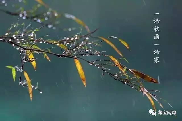 今日立秋!除了贴秋膘,这些习俗你知道吗?