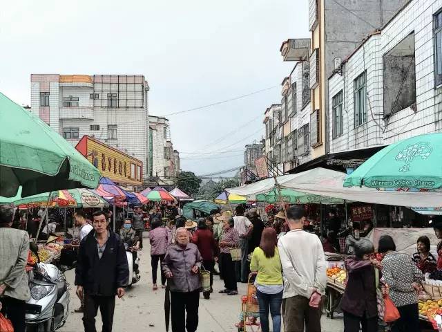 阳春市总人口_阳春的人口民族(2)