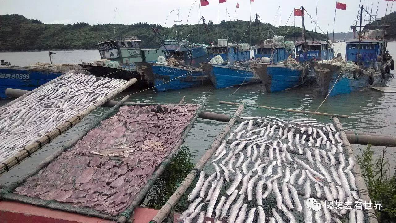 下大陈岛人口_下大雨的图片(2)