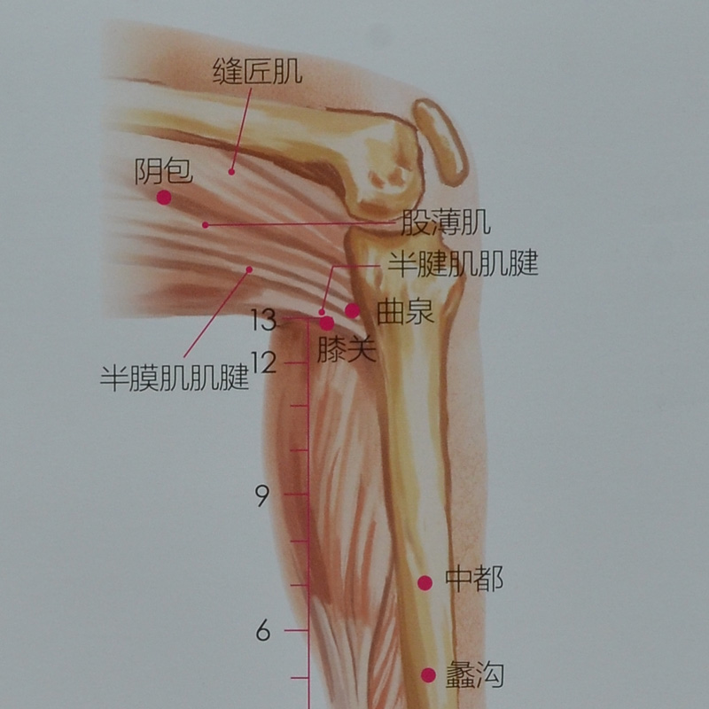 女人主肝,艾灸肝经6穴，养肝排毒素 .艾灸养生