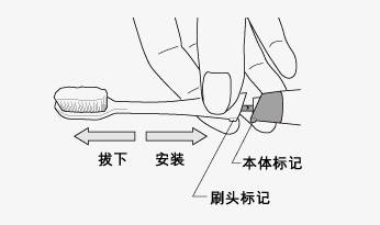 狮王电动牙刷