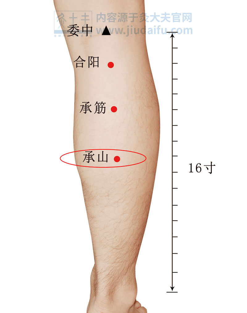 艾灸至阴穴 正胎位