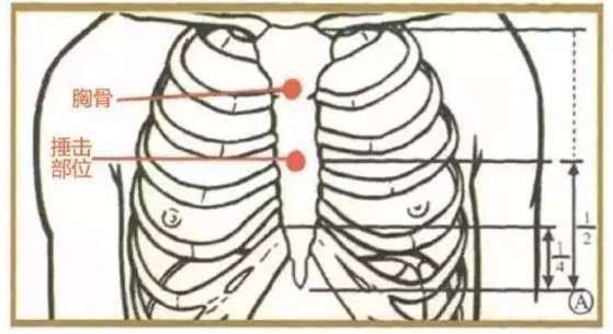 一般是右手松握空心拳,小鱼际肌侧朝向病人胸壁,以距胸
