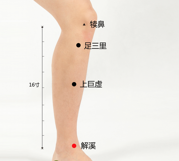 胡有宸:艾灸每日一穴-解溪穴